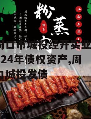 周口市城投经开实业2024年债权资产,周口城投发债