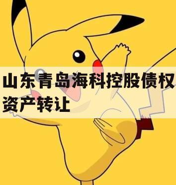 山东青岛海科控股债权资产转让