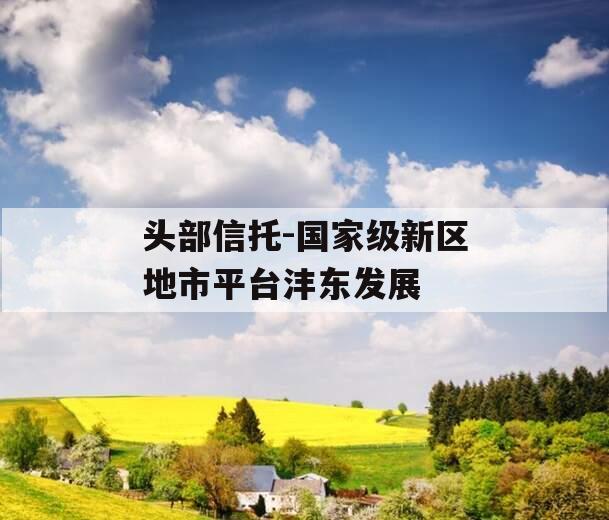 头部信托-国家级新区地市平台沣东发展