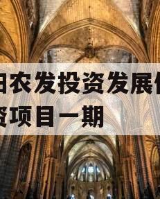 汝阳农发投资发展债权融资项目一期