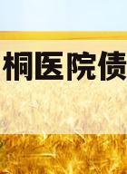 重庆南桐医院债权资产项目