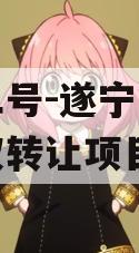安鑫二号-遂宁开达投资债权转让项目