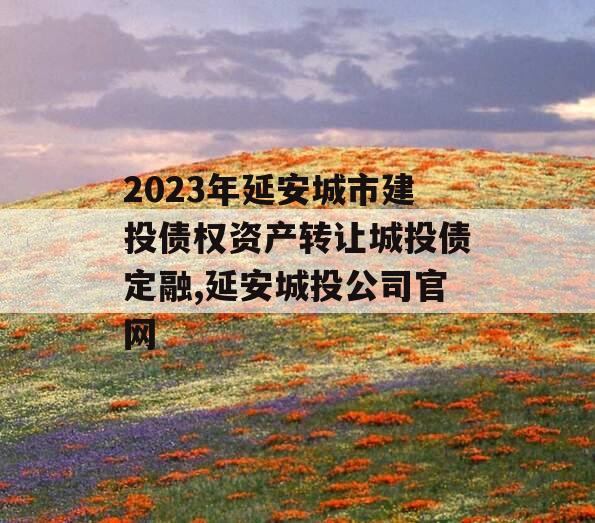 2023年延安城市建投债权资产转让城投债定融,延安城投公司官网