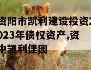 资阳市凯利建设投资2023年债权资产,资中凯利佳园