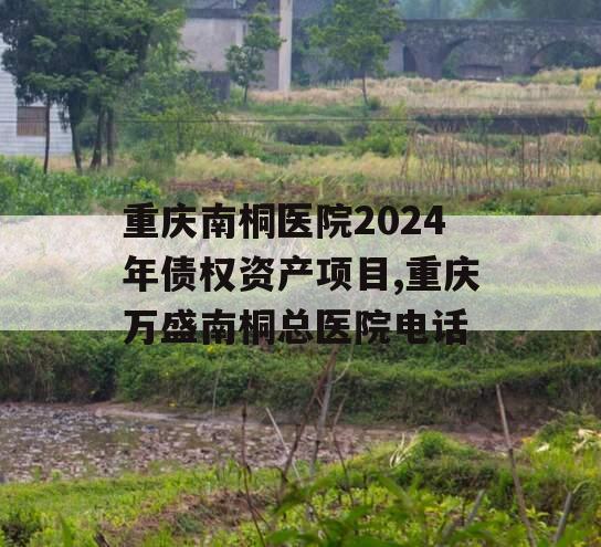 重庆南桐医院2024年债权资产项目,重庆万盛南桐总医院电话