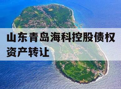 山东青岛海科控股债权资产转让