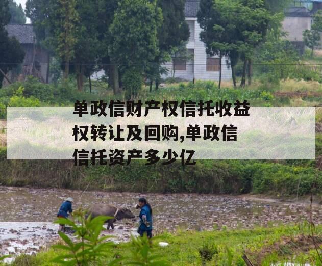 单政信财产权信托收益权转让及回购,单政信信托资产多少亿