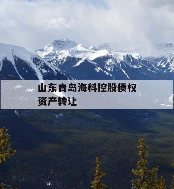 山东青岛海科控股债权资产转让 山东青岛海科控股债权资产转让