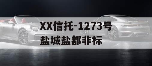 XX信托-1273号盐城盐都非标 XX信托-1273号盐城盐都非标