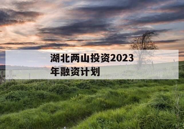 湖北两山投资2023年融资计划