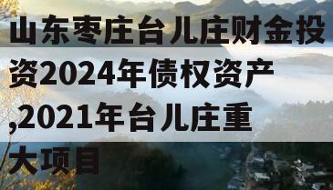 山东枣庄台儿庄财金投资2024年债权资产,2021年台儿庄重大项目