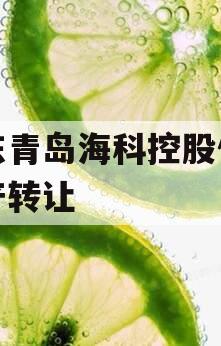 山东青岛海科控股债权资产转让