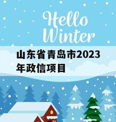 山东省青岛市2023年政信项目