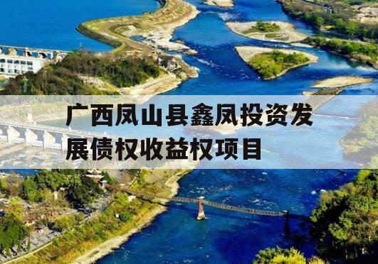 广西凤山县鑫凤投资发展债权收益权项目