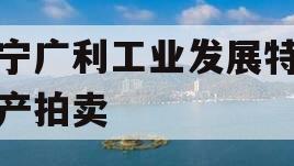 遂宁广利工业发展特定资产拍卖 遂宁广利工业发展特定资产拍卖