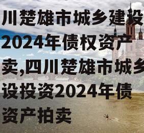 四川楚雄市城乡建设投资2024年债权资产拍卖,四川楚雄市城乡建设投资2024年债权资产拍卖