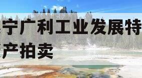 遂宁广利工业发展特定资产拍卖 遂宁广利工业发展特定资产拍卖