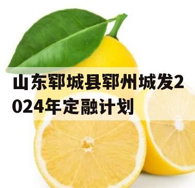山东郓城县郓州城发2024年定融计划