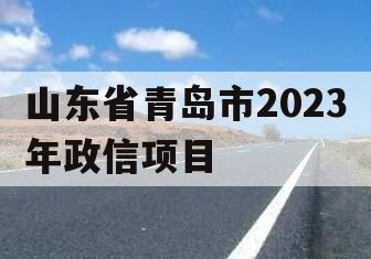 山东省青岛市2023年政信项目