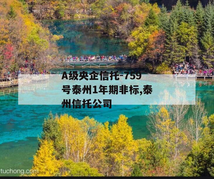 A级央企信托-759号泰州1年期非标,泰州信托公司
