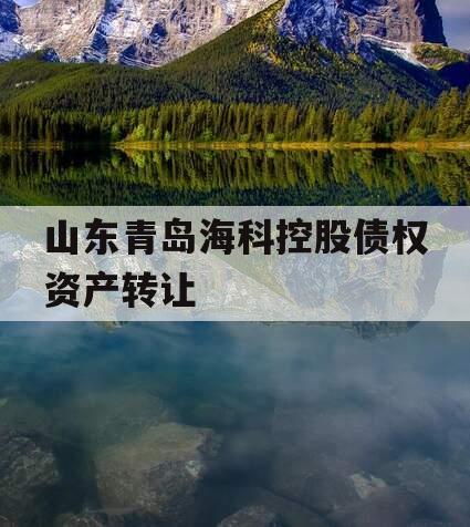 山东青岛海科控股债权资产转让