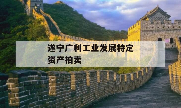 遂宁广利工业发展特定资产拍卖 遂宁广利工业发展特定资产拍卖