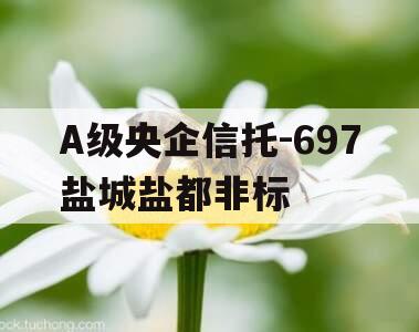 A级央企信托-697盐城盐都非标