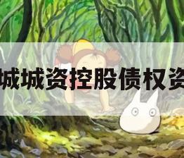 邹城城资控股债权资产