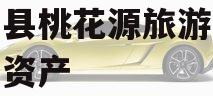 酉阳县桃花源旅游投资债权资产