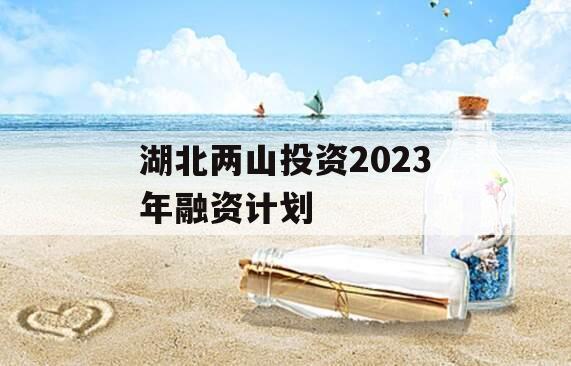 湖北两山投资2023年融资计划