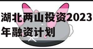 湖北两山投资2023年融资计划