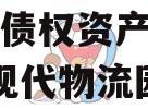 四川南充现代物流园2024年债权资产项目,南充现代物流园政信消息