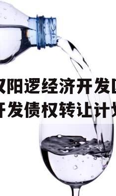 武汉阳逻经济开发区建设开发债权转让计划
