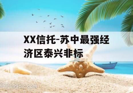 XX信托-苏中最强经济区泰兴非标