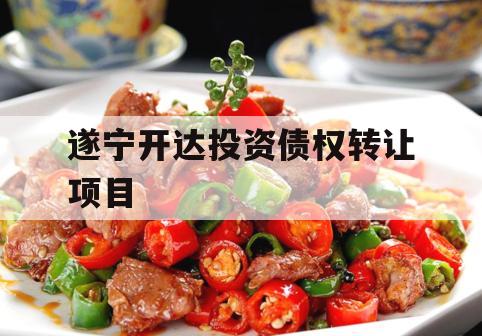 遂宁开达投资债权转让项目