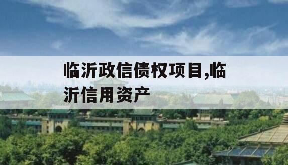临沂政信债权项目,临沂信用资产