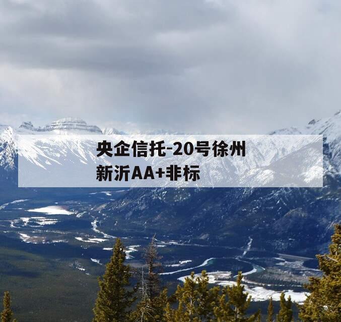 央企信托-20号徐州新沂AA+非标