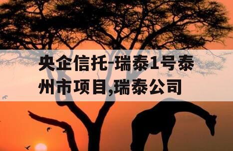 央企信托-瑞泰1号泰州市项目,瑞泰公司