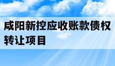 咸阳新控应收账款债权转让项目