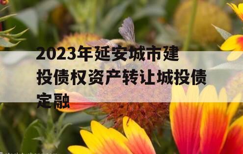 2023年延安城市建投债权资产转让城投债定融