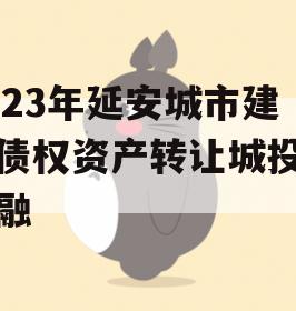 2023年延安城市建投债权资产转让城投债定融