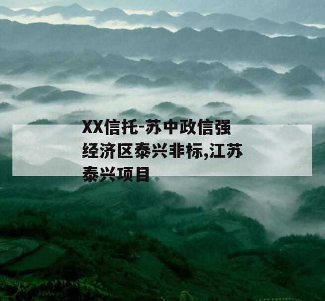 XX信托-苏中政信强经济区泰兴非标,江苏泰兴项目