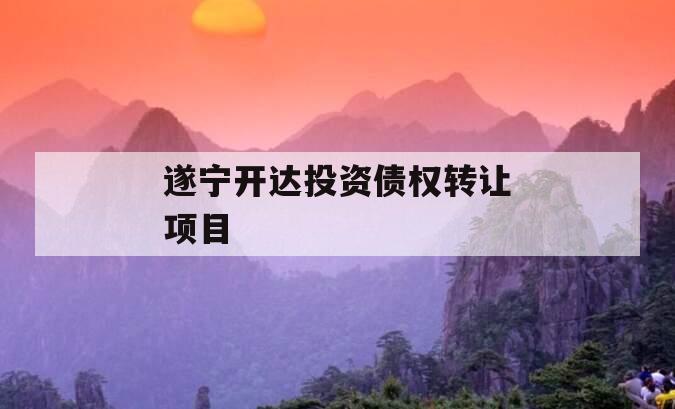 遂宁开达投资债权转让项目