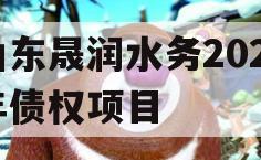 山东晟润水务2023年债权项目