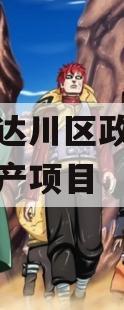 达州市达川区政府投资债权资产项目