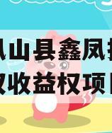广西凤山县鑫凤投资发展债权收益权项目