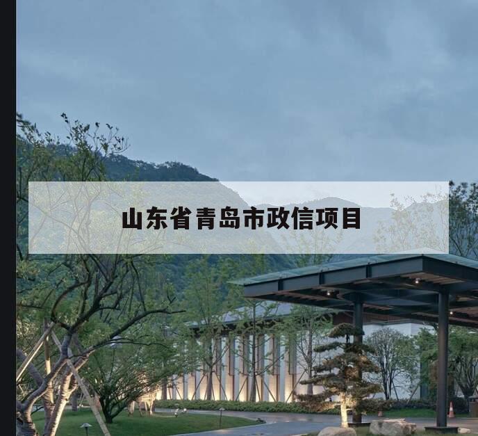 山东省青岛市政信项目