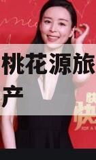 酉阳县桃花源旅游投资债权资产