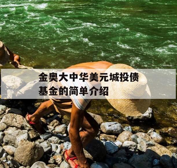 金奥大中华美元城投债基金的简单介绍