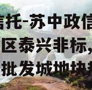 XX信托-苏中政信强经济区泰兴非标,泰兴苏中批发城地块规划
